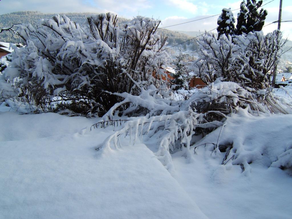 B&B Chalet L'Epinette Gerardmer Exterior photo