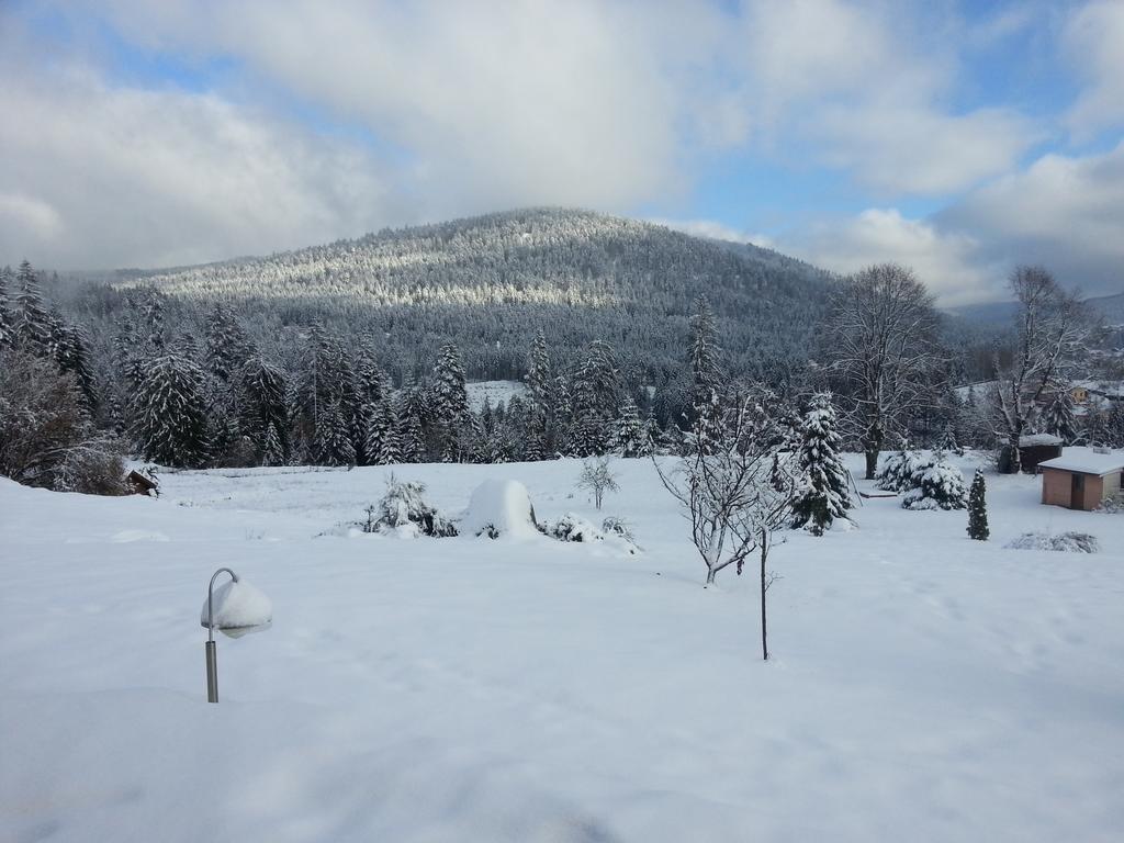 B&B Chalet L'Epinette Gerardmer Exterior photo
