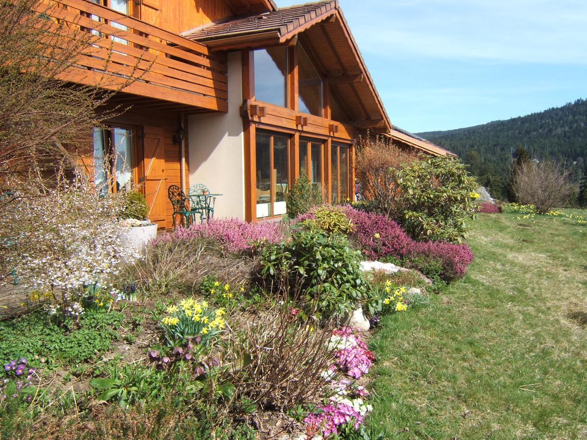 B&B Chalet L'Epinette Gerardmer Exterior photo