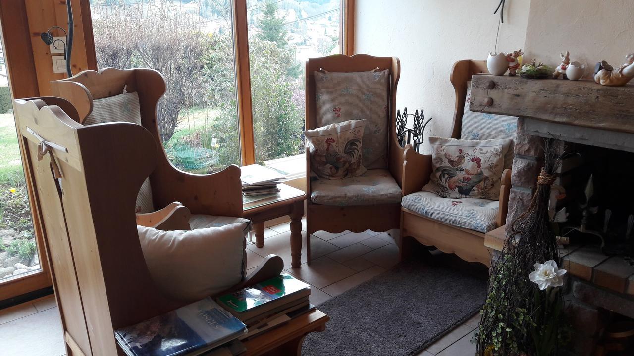 B&B Chalet L'Epinette Gerardmer Exterior photo
